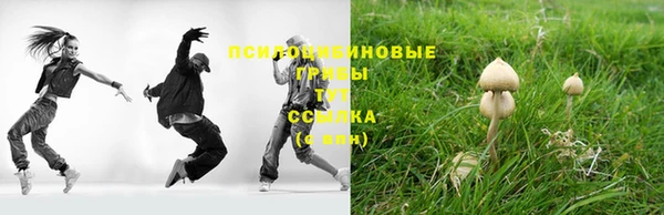 спайс Арсеньев