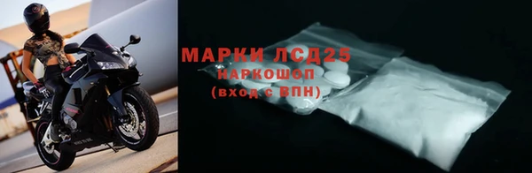 гидра Аркадак