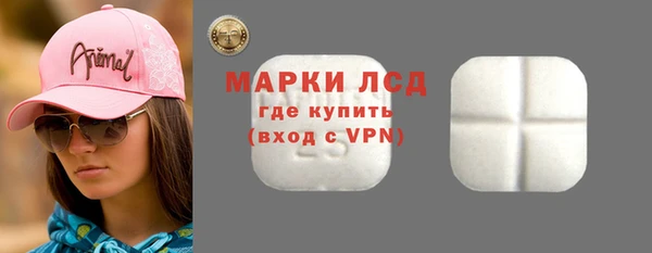 гидра Аркадак