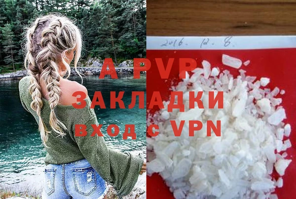 гидра Аркадак