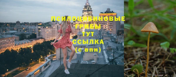 apvp Армянск