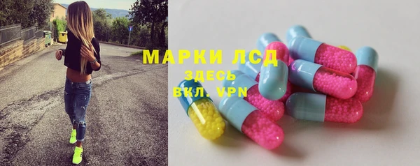 гидра Аркадак