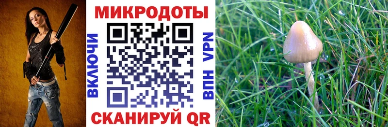 Купить Покров Галлюциногенные грибы ЛСД